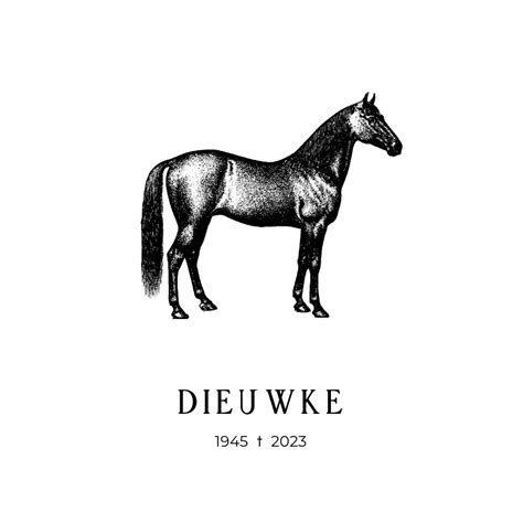 Illustratie van een filmstrip met ondertitelballonnen die niet op de juiste plaats verschijnen