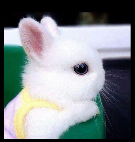 Screenshot van de Netflix-accountpagina met de optie voor profielvergrendeling.