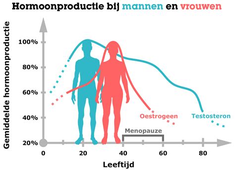 Illustratie van een vrouwelijk brein met hormonale veranderingen tijdens de zwangerschap.