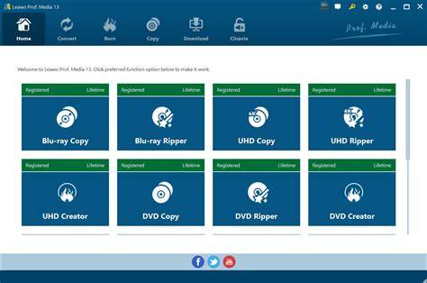 Screenshot van de Leawo Blu-ray Ripper software met de conversie-instellingen.