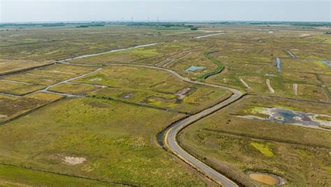 Mistig landschap in Zeeland aan het einde van het jaar
