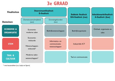 Schema met de studierichtingen en huidige beroepen van de teamleden van Team 3