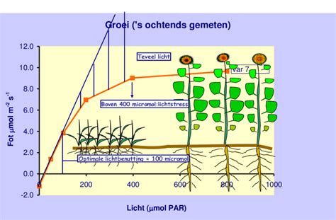 Grafiek die de relatie tussen ANSI Lumen en zichtbaarheid bij omgevingslicht toont