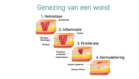 illustratie die herstel en genezing symboliseert