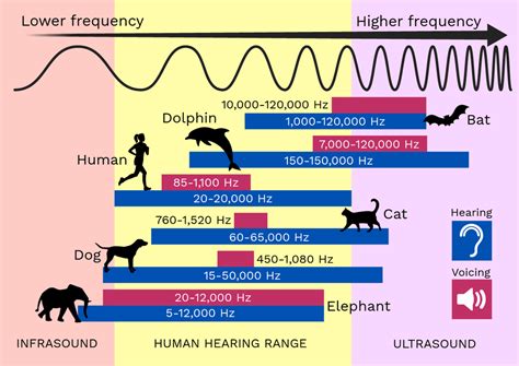 Schema van de verschillende TV-banden (VHF/UHF) en hun frequenties