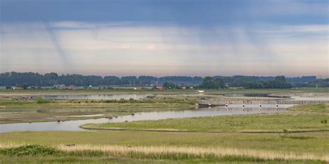 Illustratie van een karakteristiek Zeeuws landschap met dijken en water