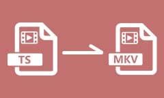 Vergelijkingstabel van TS en MKV bestandsformaten