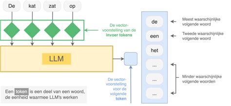 Diagram dat uitlegt hoe cookies werken op websites en welke informatie ze verzamelen.