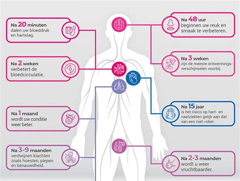 diagram dat de schadelijke effecten van roken op de foetus toont
