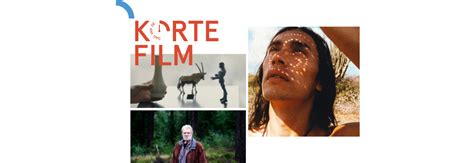 Noël Loozen, winnaar van de NTR Go Short Award voor beste korte film, regisseerde de videoclip.