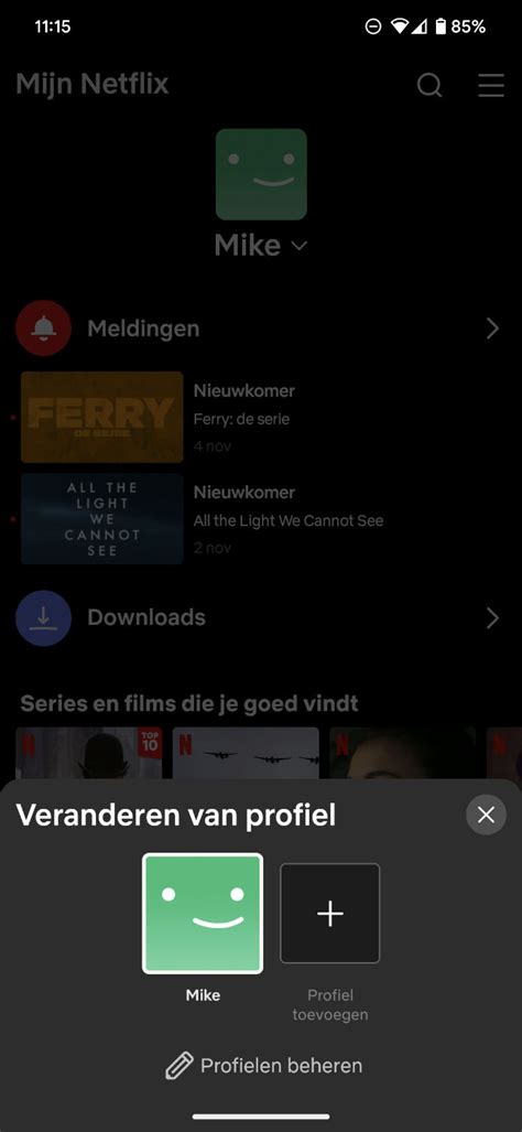 Screenshot van het Netflix-profiel aanmaken scherm.