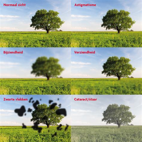 Vergelijking van verschillende weersvoorspellingen en media-optredens