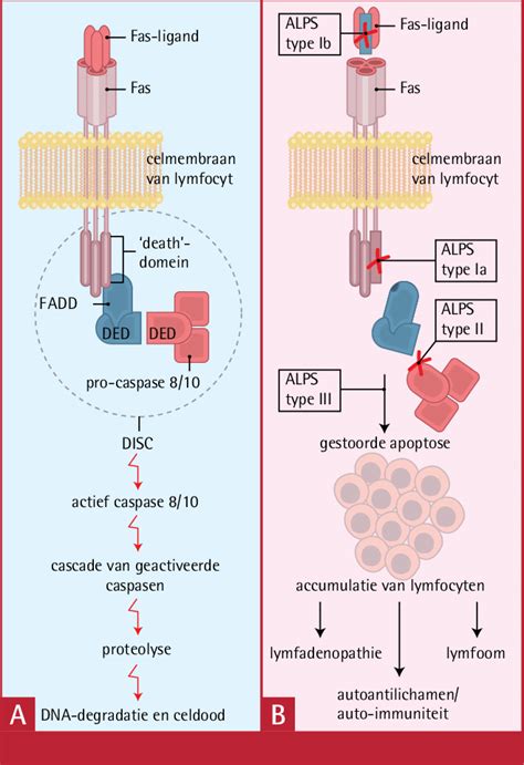 Schematische weergave van het zenderaanbod van RTL5 met genres