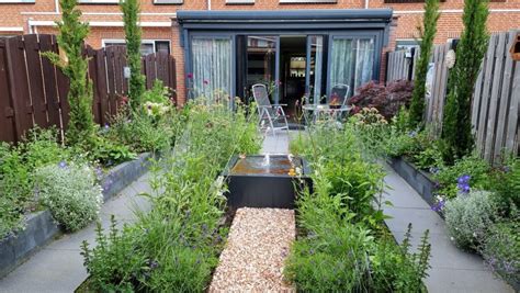 Zonnige stadstuin met aubergineplanten in pot