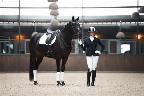 foto van een paard in een te kleine, afgesloten stal