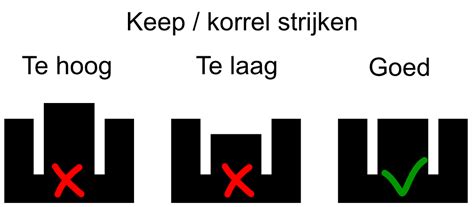 Close-up van de keep en korrel op de Bug-A-Salt BugBuster Black Fly 3.0, met een focus op het doorzichtige zoutreservoir.
