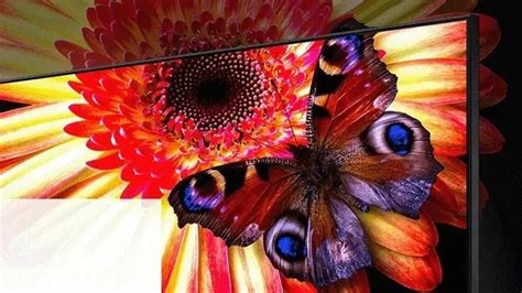 Een close-up van het scherm van de LG C5, die de levendige kleuren en diepe zwarttinten benadrukt.