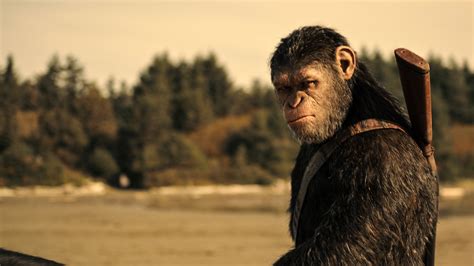Vergelijking van een shot uit War for the Planet of the Apes met een gravure van Gustave Doré