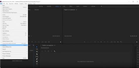 Screenshot van het importeren van mediabestanden in het Projectpaneel van Premiere Pro