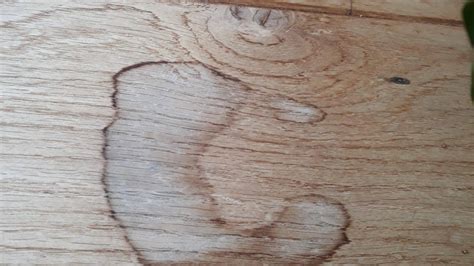 Close-up van een vlek op leer en het aanbrengen van maïzena