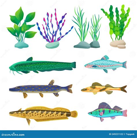 Illustratie van diverse witgoedapparaten