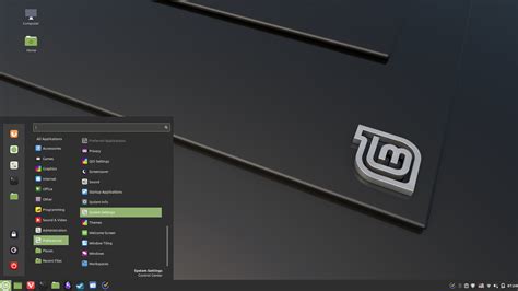 Screenshot van het installatietype-menu in Linux Mint