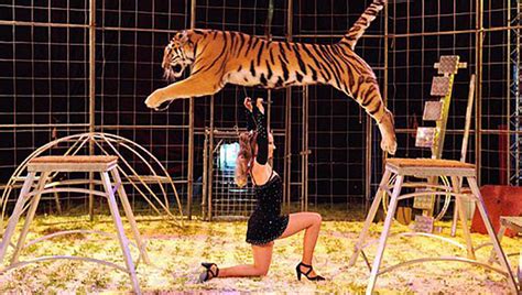 een circus met wilde dieren in een fantasiewereld