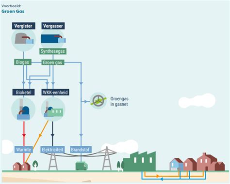Schematische weergave van de trekroutes van de regenwulp