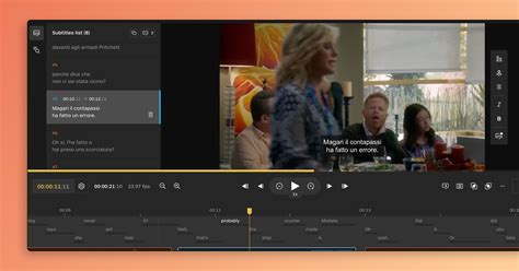 Screenshot van de SubSync Subtitle Editor met timing controls