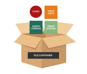 Diagram dat de verschillende videoformaten en codecs toont die door videospelers worden ondersteund.
