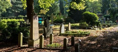 Oude monumentale bomen en paden op begraafplaats De Nieuwe Ooster