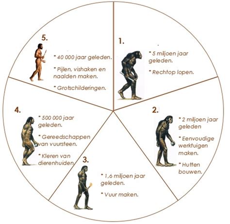 Diagram dat de evolutie van opslagmedia toont, van grammofoonplaat naar CD en DVD.