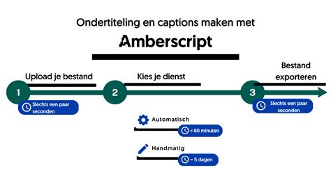 Voorbeeld van een DVD-menu met opties voor taal, ondertiteling en scènes.
