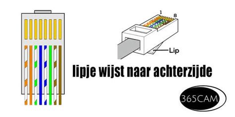 Gedetailleerde illustratie van het aansluiten van een RJ45 connector op een UTP kabel.