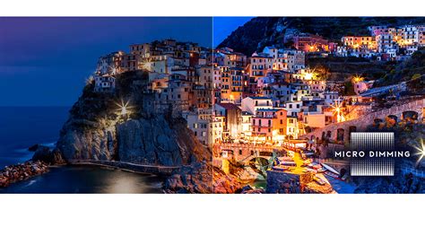 Infographic die de werking van Micro Dimming Pro uitlegt