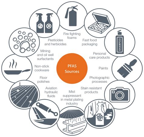 Schematische weergave van de bronnen van PFAS in het milieu en de menselijke bloedbaan.