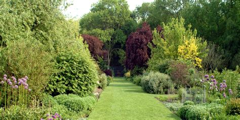 een illustratie van een tuin met planten