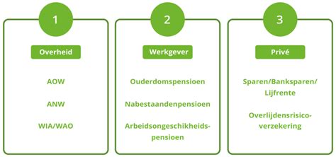 Schema dat de drie pijlers van Direct Duidelijk weergeeft: Bewustwording, Ondersteuning en Meten.
