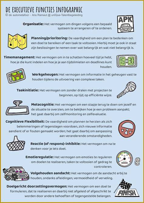 Infographic die de verschillende functies van Max Video Player & Editor toont, zoals ondersteunde formaten, bewerkingstools en downloadmogelijkheden.