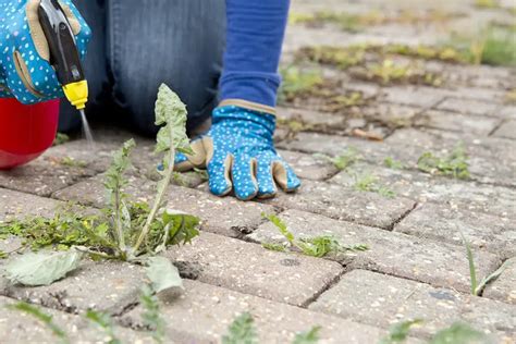 Infographic die de verschillen toont tussen het verwijderen, uitschakelen en de-installeren van apps op een smart tv